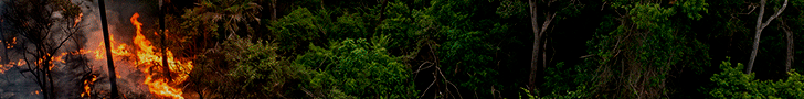 Banner queimadas -Novo-728-x90.gif