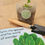 Thumbnail: Storybook & seed pack, seed planting bags and spade pack