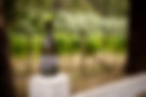 Patch Wines_2025-01-10-111.jpg