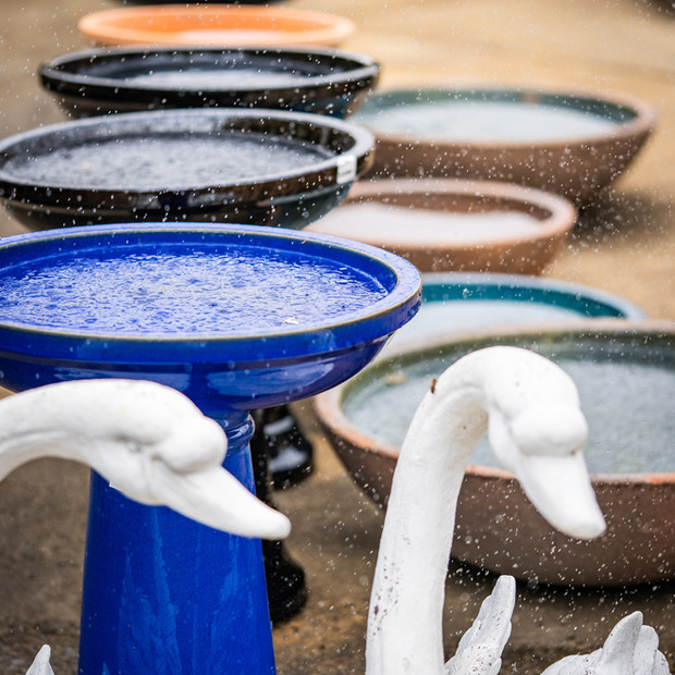 Macedon Nursery & Garden Supplies – plants, trees & landscape materials with 7-day delivery.