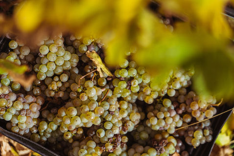 Granite Hills Winery, Lancefield Kyneton Macedon Ranges, Cellar Door, Estate Grown, Cool Climate Wines, Family-Run Winery, Established Winery