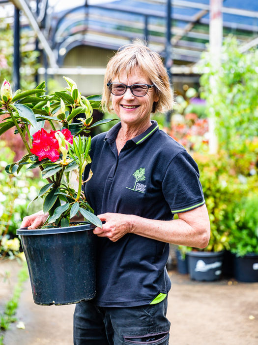 Learn about Macedon Nursery’s history, team & community support in the Macedon Ranges.