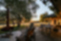 0021_Colcheedas_Photography_March 27, 2025__A7R9807-HDR-Edit.jpg