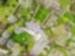 Bolobek Garden Fair, Mount Macedon | Stallholders, Guest Speakers, Events & Garden Tours.