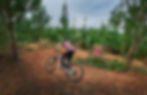 “Djuwang Baring” Creswick Trails | All Abilities, Family Friendly Mountain Bike Tracks| Hepburn Shire, Victoria
