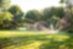Land & Water Macedon Ranges_2026-03-26-12.jpg