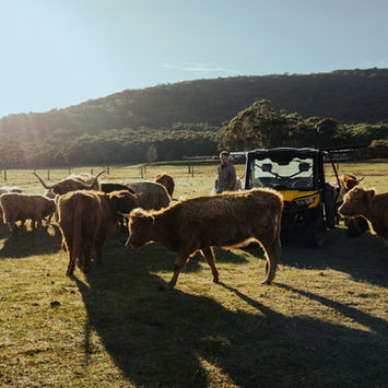 Mount Macedon Winery, Macedon Ranges, Winery Weddings, Cellar Door, Wine Tastings, Events Venue & Restaurant