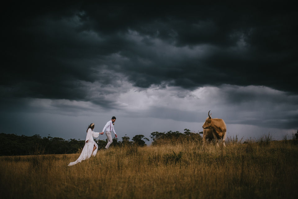Mount Macedon Winery Weddings, Country Wedding Venue, Country Wedding Ceremony, Barn Wedding, Micro Wedding, Macedon Ranges, Regional Victoria