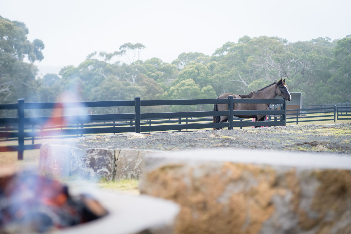 Yertabulti Equestrian Centre Macedon Ranges, premium stable & arena hire for riders, instructors, clubs & groups. Gisborne, Victoria.
