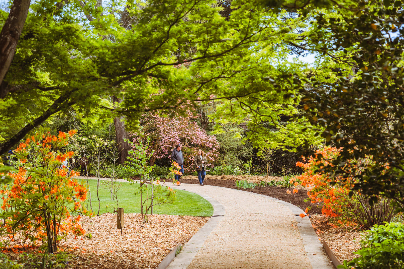 Bolobek Garden Fair, Mount Macedon | Stallholders, Guest Speakers, Events & Garden Tours.
