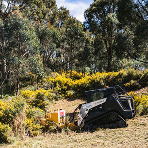 Eco Blade tracked machine clearing flowering gorse on sloping bushland in Central Victoria, Mountain View Contracting