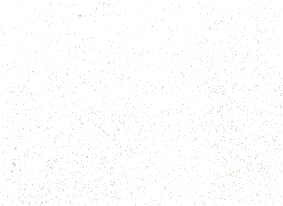 Texture 2 White.png