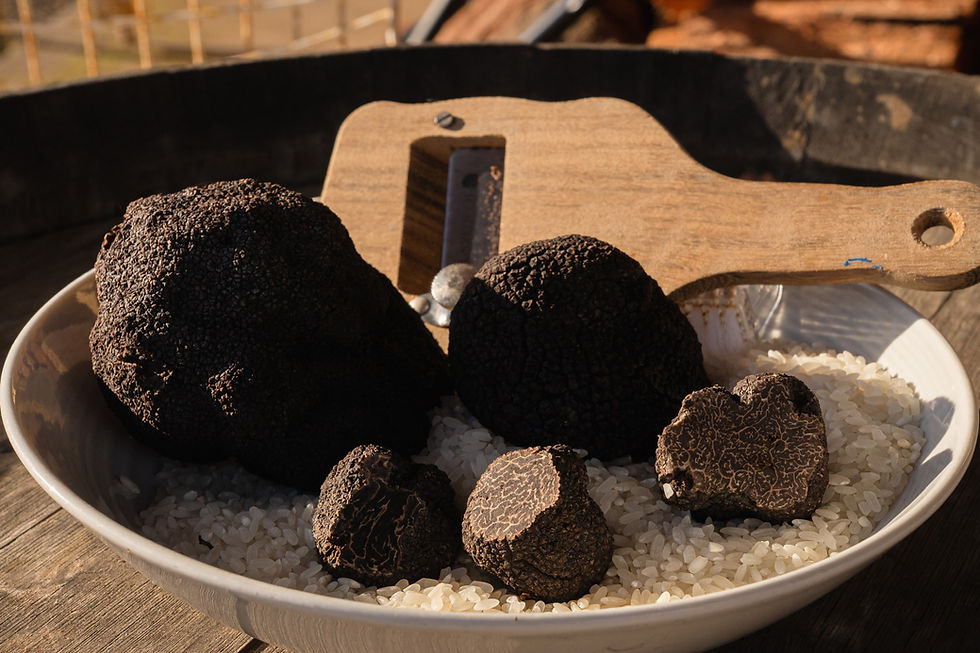 Double Oaks Estate cellar door, family vineyard in Lancefield, Victorian truffle farm, truffle hunt, outdoor lunches, Macedon