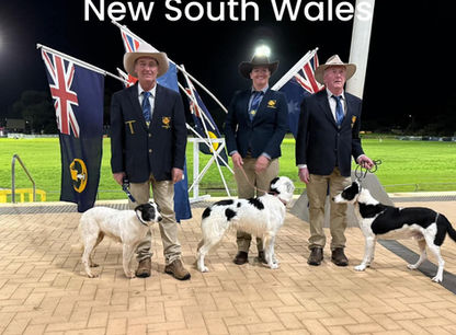 2025 Ted Gaby Interstate Challenge | Australian Sheepdog Workers' Association 
