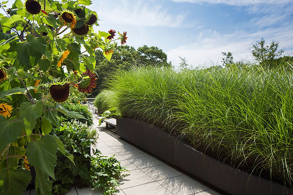 Foresight Advisory - Integrated Water Management, Melbourne, Macedon Ranges & Regional Victoria