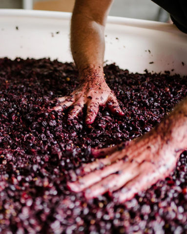 Mount Towrong Vineyard, family-owned winery in the Macedon Ranges, specialising in Italian wine.