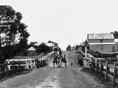 Princess Bridge Trentham