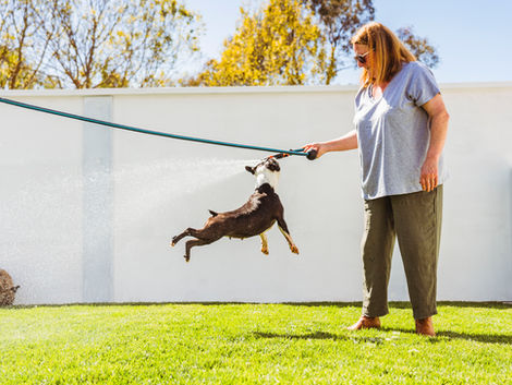 The Langley Luxury Dog Hotel, Boarding, Kennel, Accommodation, Canine Enrichment & Wellbeing, Macedon Ranges, Mount Alexander Shire