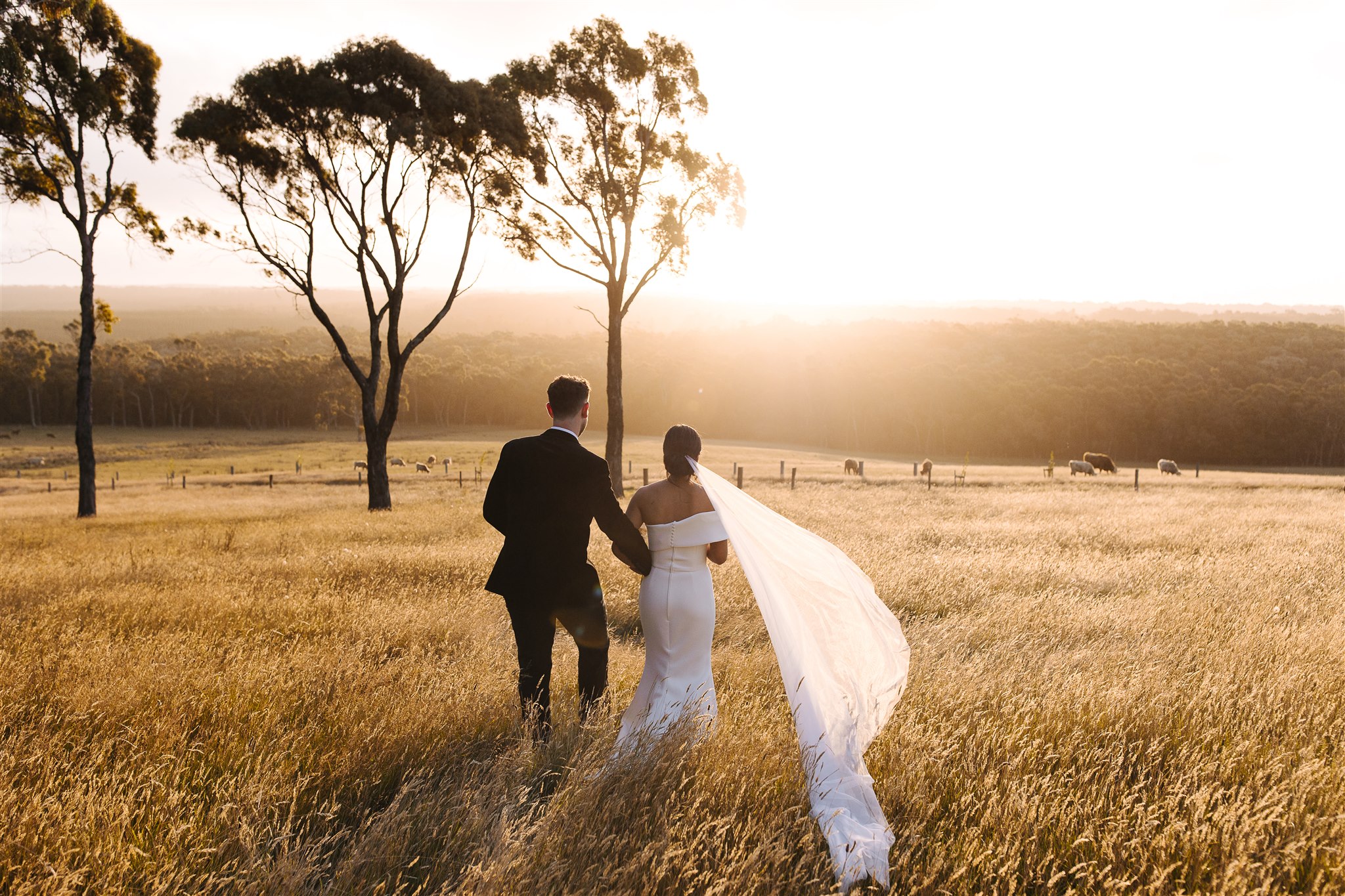 Mount Macedon Winery