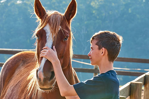 Path of the Horse Trentham Victoria, Equine Assisted Psychotherapy for PTSD, Trauma, Anxiety & Depression