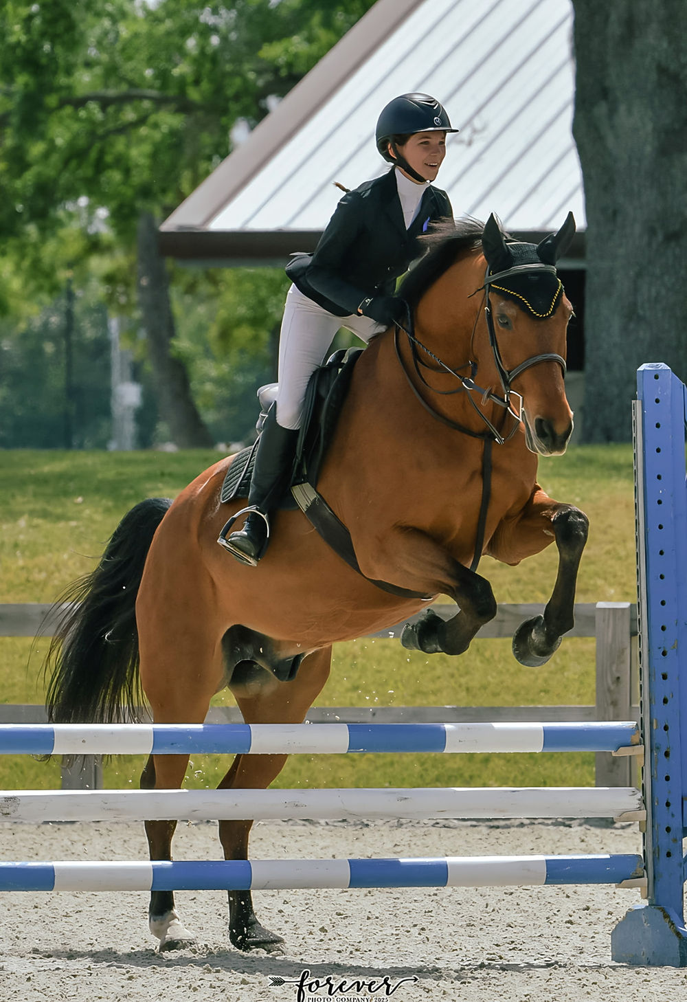 Horse and rider jumping over obstacle