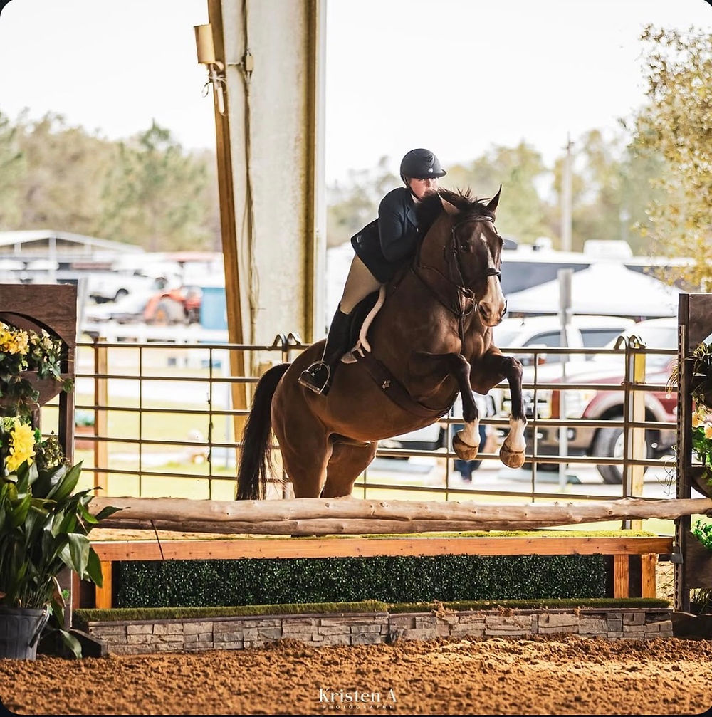 Horse and rider jumping a wooden fence