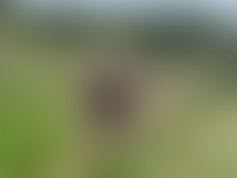 Lessons From a Mug and a Multi-Tool