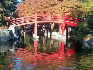Japanese Friendship Garden - A bit of Japan in San Jose