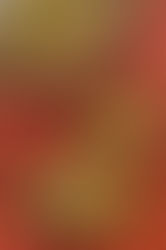 #MeatlessMonday - Super-quick Pan Pizza