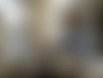 Internal auditor reviews control binders and laptop