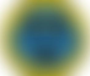 Former Wells Fargo Internal Auditors on Trial