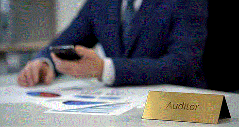 PCAOB AUDITING STANDARDS 2315 AUDIT SAMPLING OVERVIEW.gif