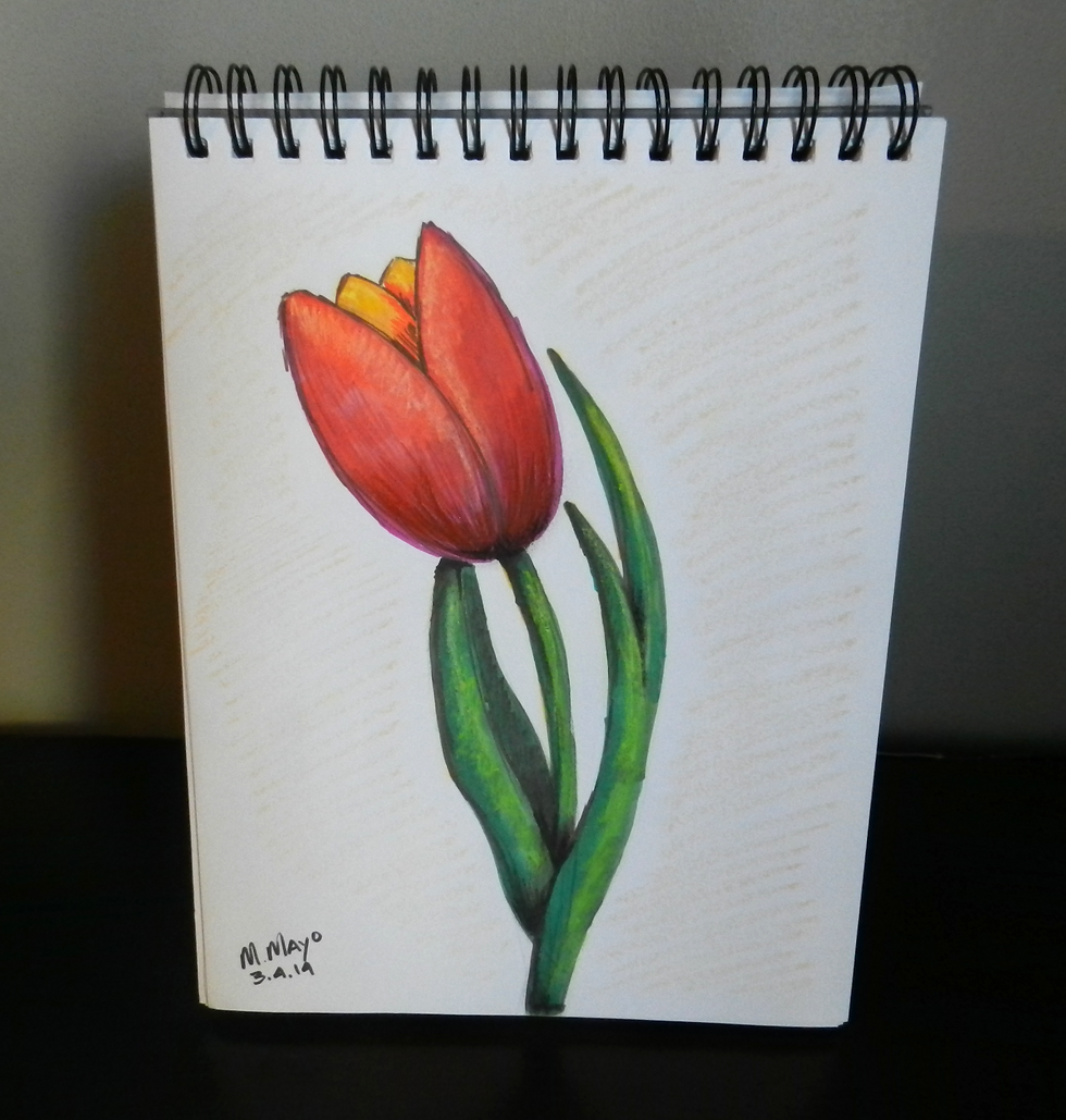 Color Pencil