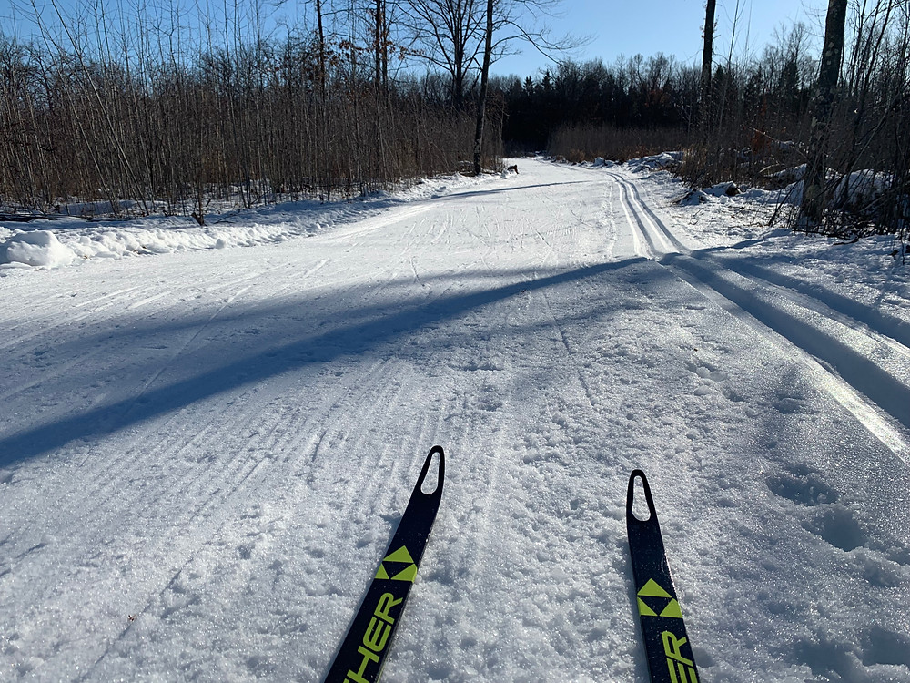 Vasaloppet Trail