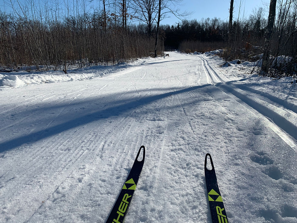 Vasaloppet Trail