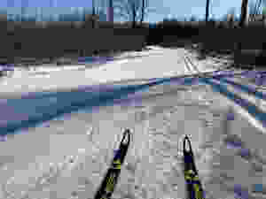 Vasaloppet Trail
