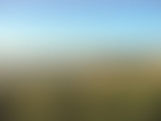 LA PHOTO DE PAYSAGE