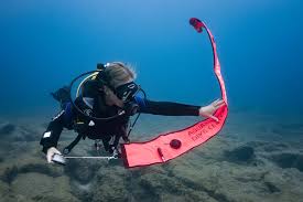 DSMB Underwater