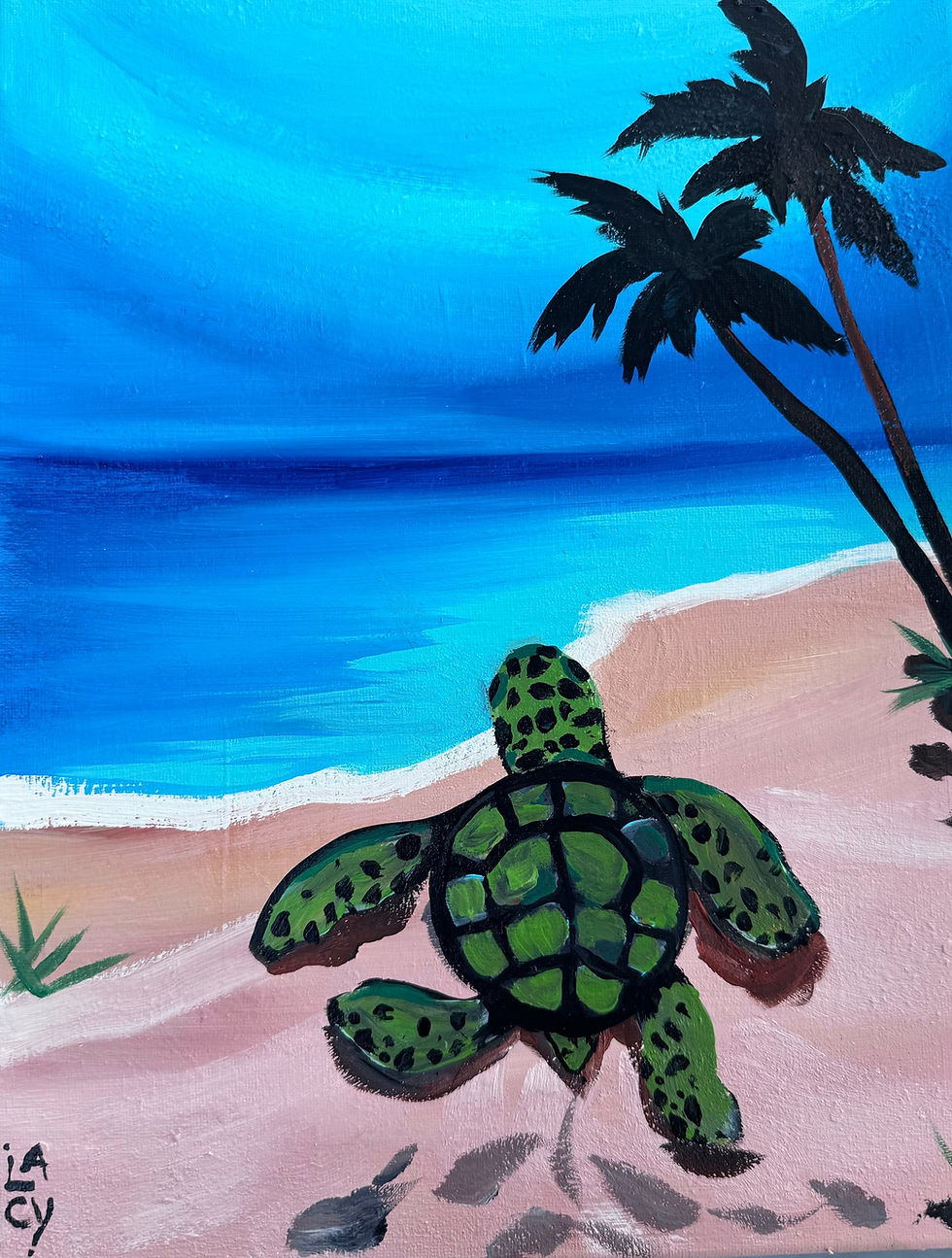 Turtle Beach Kids Paint Night