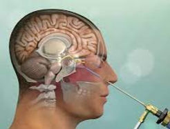 download (1)_edited.jpg