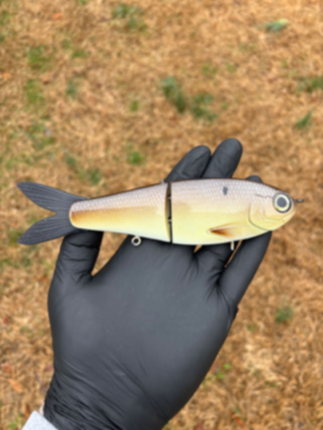 Golden Gizz 7” York Glide