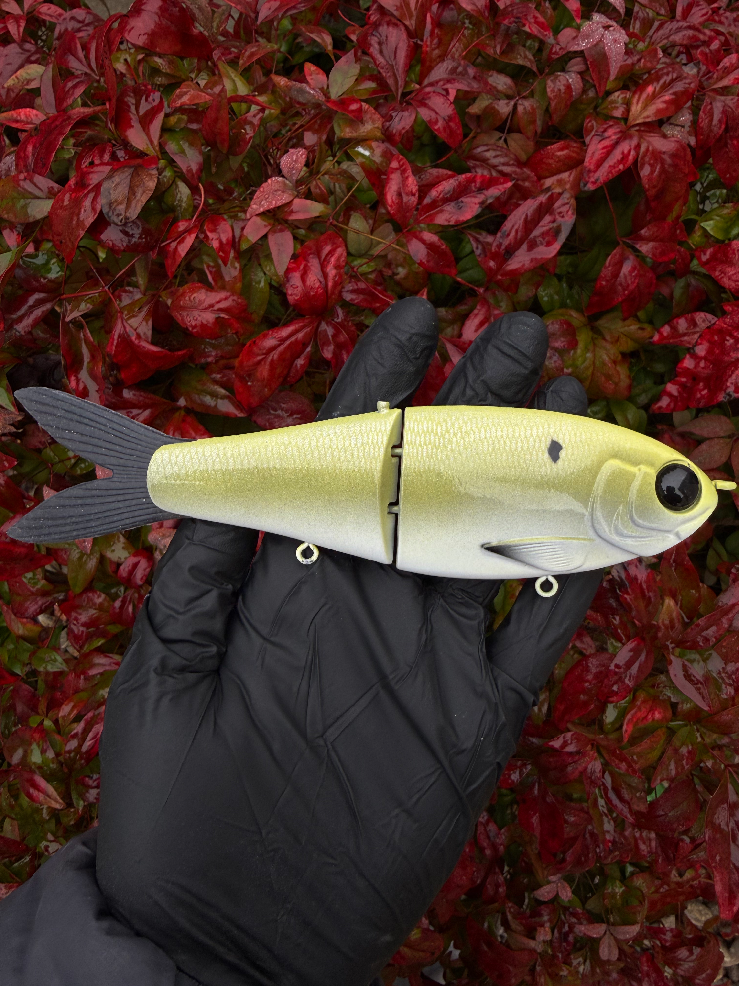 Shmike Shad 7” York Glide