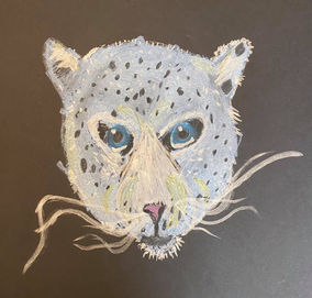 Snow Leopard - 2020 (Age 7) - Oil pastels and metallic paint pen on black paper.jpg