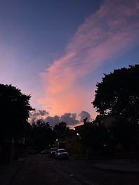 IMG_5042.jpeg