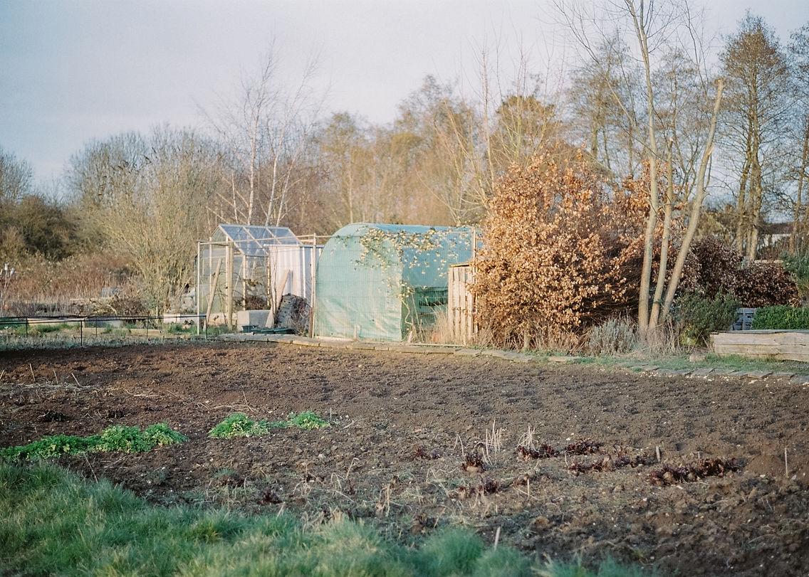 Gina Dover-Jaques 1846 18_edited.jpg