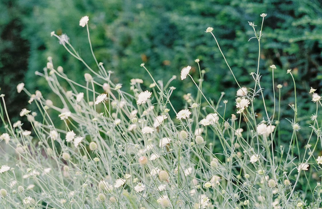 Prebendal-House-emingham-analogue-film-G