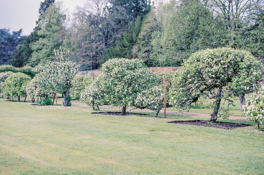 DOVERJAQUESPHOTOGRAPHY_ ROUSHAM GARDENS MAY 2023 41.jpg