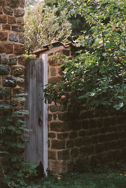Bryony the Garden Designer Personal Brand Photography Northamptonshire by Gina Dover-Jaque