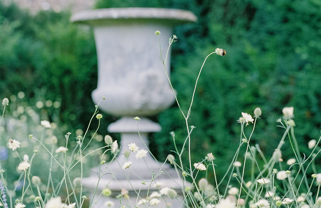 Prebendal-House-emingham-analogue-film-Gina-Dover-Jaques-Photography- July 2025 19.jpg