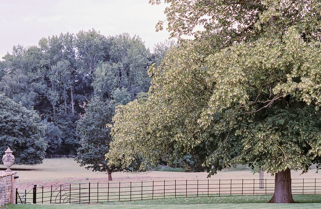 Prebendal-House-emingham-analogue-film-G
